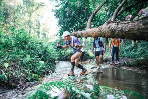 BIB: 
                            <button type="button" onclick="openModal(25444338)" class="btn btn-primary btn-sm float-right btn-popup" data-toggle="modal" data-target=".modal-high-quality">
                        <i class="fas fa-shopping-cart"></i> Add to Cart
                    </button>
                                            <button type="button" onclick="isThisMe(25444338, true)" class="btn btn-success btn-sm float-right btn-popup btn-isme hidden" data-toggle="tooltip" data-placement="bottom" title="นี่คือรูปของคุณใช่ไหม คลิกที่นี่เพื่อเอาเข้าอัลบั้ม">
                        <i class="fas fa-plus"></i> Add to album
                    </button>
                    <button type="button" onclick="isThisMe(25444338, false)" class="btn btn-warning btn-sm float-right btn-popup btn-isnotme hidden">
                        <i class="fas fa-ban"></i> Remove from album
                    </button>